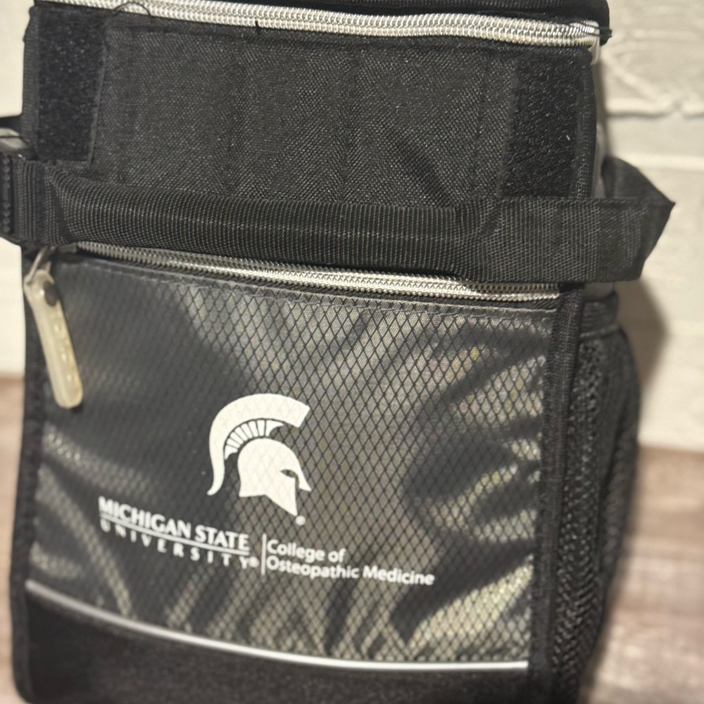 Michigan State insulated cooler bag